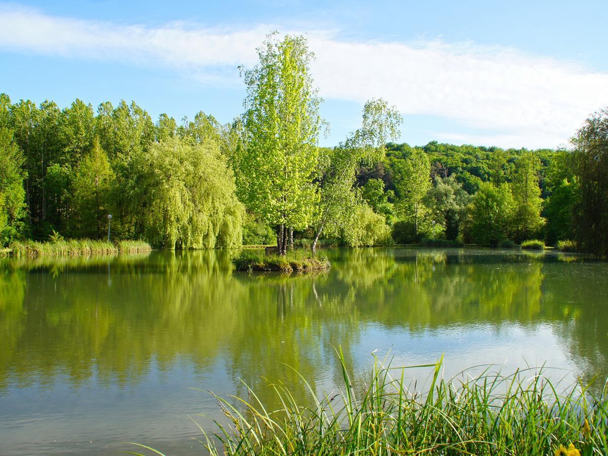 Le Domaine De L'Etang De Sandanet Issac Exterior foto